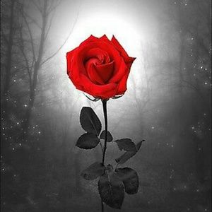 Meet your Posher, Enid